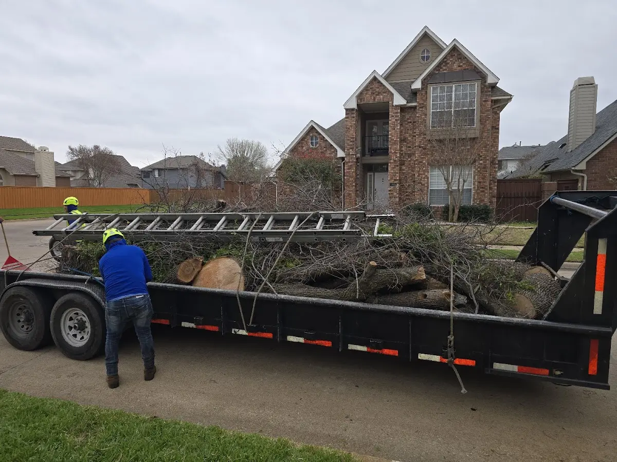 Expert Lot Clearing with proper safety equipment in Fish Haven